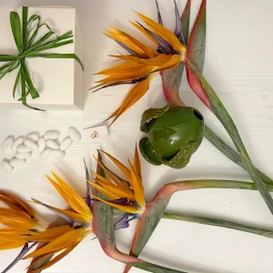 Pumo profumatore in diversi colori